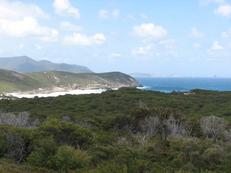 Whisky Beach